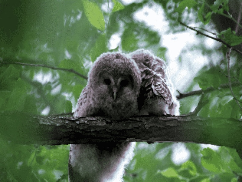 试管机构全麻还是局麻,怎样提高试管成功