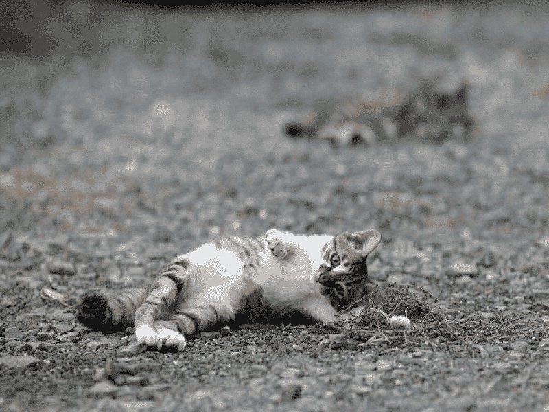 深圳做试管视频,试管婴儿不会老