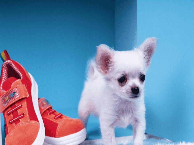 试管不用住院吗,照影检查费用